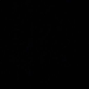 Meet your Posher, Sophie